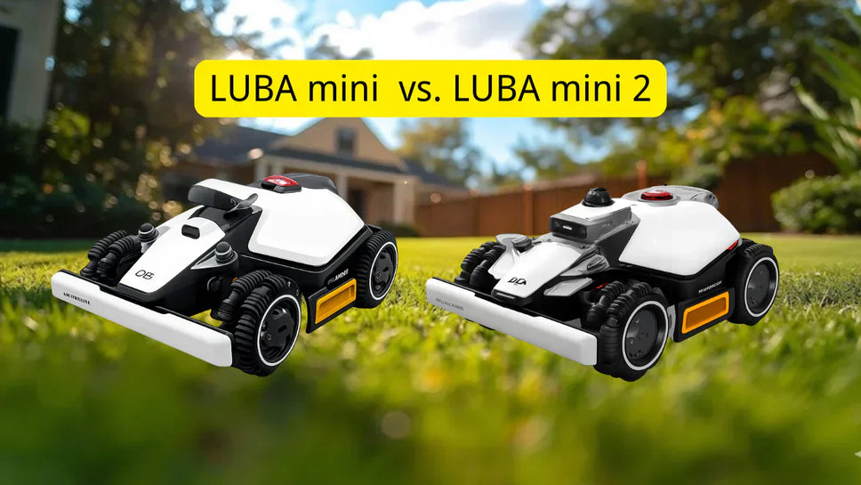 LUBA mini vs LUBA mini 2: Welke moet u kopen?