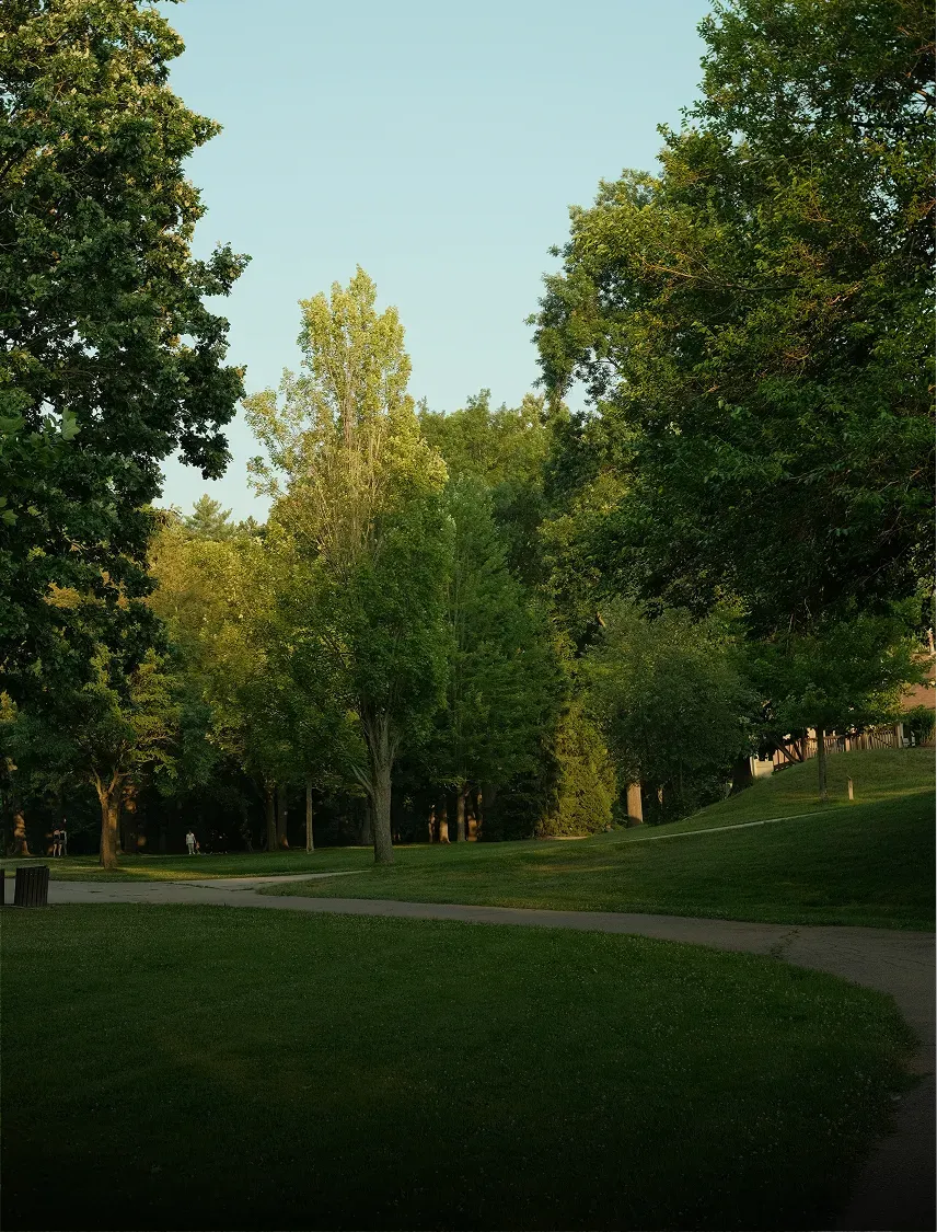 Gazon in een openbaar park